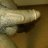 Cumguzzler
