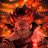 evil_