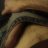 EroticnSensualDriller
