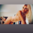 MarilynNicole