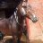 Horseygirlirl23